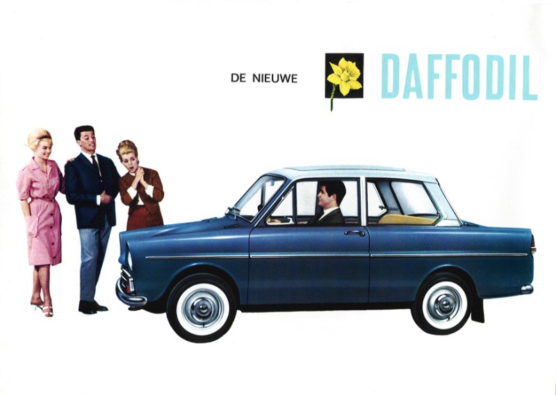 Daffodil (Daf 31) brochure